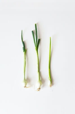 Principal of design of experiments-I : Replication